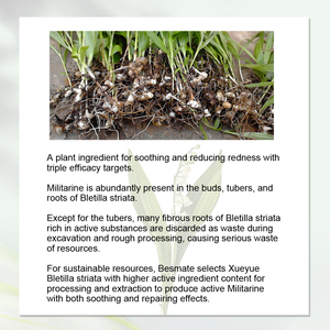 Militarine <span class=keywords><strong>Bletilla</strong></span> <span class=keywords><strong>Striata</strong></span>根エキスなだめるような修復は赤みを高めます化粧品配合のための3Dスキンバリア - Product Image 3