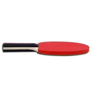 <span class=keywords><strong>Raquette</strong></span> de tennis de table pour l'entraînement des élèves du primaire et du secondaire, antidérapante et durable, double <span class=keywords><strong>raquette</strong></span> pour débutants - Product Image 2