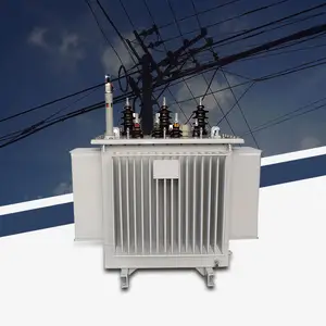 Isıya dayanıklı yağ daldırma güç trafosu 11kv kompakt yağa daldırılmış dağıtım transformatörü