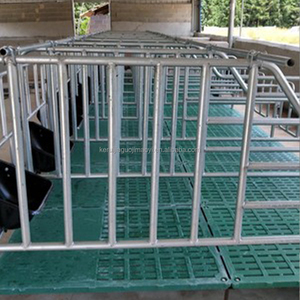 Élevage Animal Chinois : Cages de Maternité et de Gestation pour Truies et Porcs en Ferme Porcine - Product Image 3
