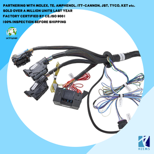 Arnés de Cableado Personalizado 28901213 para Conversión de Motores <span class=keywords><strong>Chevrolet</strong></span> GMC Pontiac LS Gen4 EV6 4L60, Cable de Conversión Duradero de Alta Calidad - Product Image 4