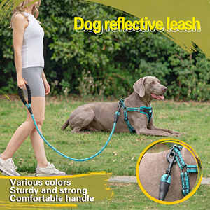 Guinzaglio per Cani in Nylon Riflettente di Lusso in Pronta Consegna Personalizzato per Cani di Taglia Media e Grande ad Alta Resistenza alla Trazione alla Moda Regolabile Tinta Unita - Product Image 2