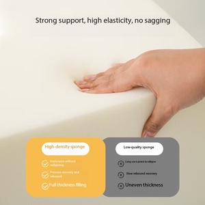 Ventes d'usine Échelle <span class=keywords><strong>pour</strong></span> animaux de compagnie Jouer Exercice Canapé Étapes Sûr Confortable Petit <span class=keywords><strong>Chien</strong></span> Chat Éponge Pente Amovible Trampoline Escaliers - Product Image 3