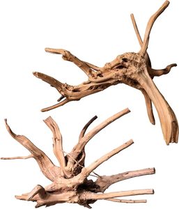 Bois de Cholla Non Toxique en Gros PKY, Racine de <span class=keywords><strong>Cactus</strong></span> pour Décoration de Bassin d'Écrevisses, Aquarium, Vivarium et Aménagement Paysager - Product Image 4