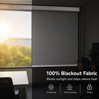 Store Enrouleur Motorisé Tuya Wifi Anti-UV avec Cassette, Compatible Alexa Google Home, Personnalisable pour Maison Intelligente, Vente en Gros US Europe