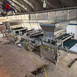 Máquina Automática para Plantar Plántulas de Vegetales, Ahorra Mano de Obra, Sembradora de Semillas en Bandejas, Cultivadora de Semillas de Flores - Product Image 2