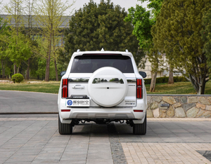 Serbatoio usato vendita calda <span class=keywords><strong>500</strong></span> 3.0T SUV Hi4-T fuoristrada ibrido 360hp benzina 5/7 posti Wey serbatoio <span class=keywords><strong>500</strong></span> grande parete serbatoio <span class=keywords><strong>500</strong></span> - Product Image 5