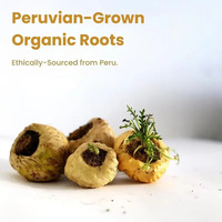 Poudre de Maca pour la Vitalité Masculine, Extrait Herbal avec Protéines et Vitamines pour Hommes, Aphrodisiaque Maca Pour Homme, Dissolution Instantanée