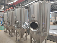Système de brassage de bière artisanale portable de 300 L dans une nano-brasserie