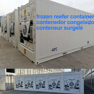 Reefer <b>Container</b> Marine Deep Freezer <b>Container</b> -60°C Celsius Ultra-Low Temperature New ISUZU 4x4 <b>Refrigerated</b> Truck -18~20°C - Product Image 5