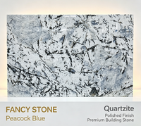 Dalle de pierre naturelle de luxe polie bleu paon FANCY STONE pour comptoirs de cuisine, murs d'hôtels et projets d'aménagement intérieur de villas