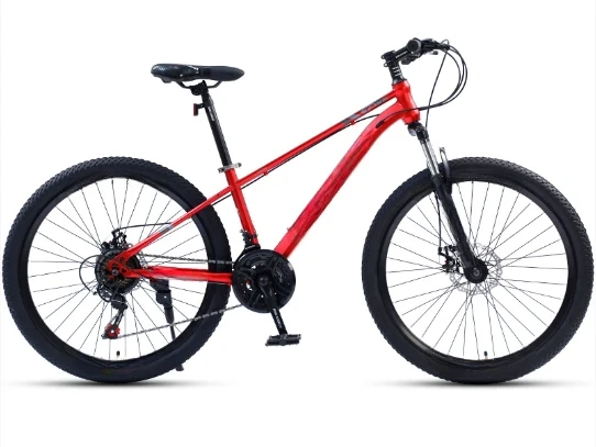 Red spoke wheel