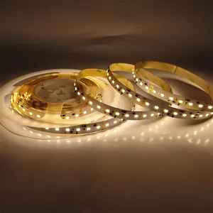 Dc 12V LED Strip ánh sáng ngoài trời không thấm nước SMD2835 bande Lumineuse LED Strip Lights 5 Meter