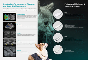 Sonoscape-escáner de ultrasonido Digital profesional, sistema de imagen de alta resolución, veterinario, proct 60, precio bajo - Product Image 3