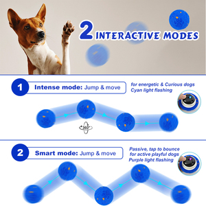 Usine certifiée BSCI, jouet interactif intelligent automatique électrique rechargeable ETPU personnalisé, balle rebondissante pour chien - Product Image 4