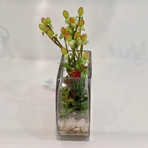 New Arrivals Hydroponic European Style Thick Flat Round Small <strong>Fish</strong> Glass Vase for Tank Living Room Flower <strong>Pots</strong> &amp; Planters - Product Image 4