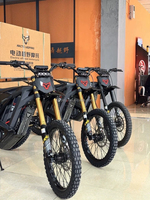 2026 26KW XE PRO R Arctic Leopard Clouded Leopard PRO R Elektrikli Arazi Motosikleti 4 Güç Modu APP Ayarlanabilir Performans Ultra Bee COC