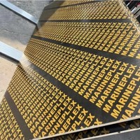 Vente en gros Prix d'usine en Chine Contreplaqué de film imperméable brun/noir BP Eco-friendly 4x8 18mm Matériau de construction en bois