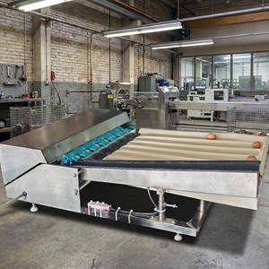 Machine de tri des œufs en acier inoxydable compacte, capacité de 2000 œufs par heure avec équipement de tri automatique et balance numérique 220v - Product Image 4