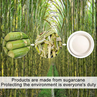 Logo personnalisé Marque 100% Plaque de canne à sucre jetable biodégradable 9 pouces Bagasse compostable pour le camping