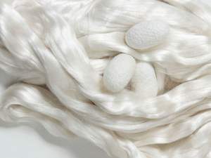 Fibre de soie de qualité A, soie de mûrier filée, pour la fabrication de rembourrage en fibre de soie pour courtepointe - Product Image 6