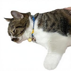 Collares Sólidos para Mascotas, Collares para Cachorros, Perros y Gatos, Correa al por Mayor, Collar de PVC Elástico Suave, Hebilla de Liberación Rápida, Collar para Perros Pequeños - Product Image 1