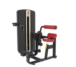 Appareil de musculation multifonctionnel pour abdominaux et bras, avec tirages hauts et bas, en bois écologique, pour usage commercial en salle de sport - Product Image 2