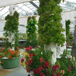 Garten vertikaler Anbau-Familien gebrauch Mini-Indoor-Wasserkultur-Anbau turm