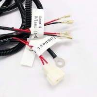 Harnais de câblage LED isolé en PVC personnalisé pour motos, comprend un kit de relais et de commutateur