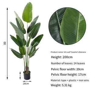 <span class=keywords><strong>Plante</strong></span> Artificielle du Voyageur Banane <span class=keywords><strong>Canna</strong></span> Feuilles Épaissie Pot Plancher <span class=keywords><strong>Plante</strong></span> Verte-149 - Product Image 6