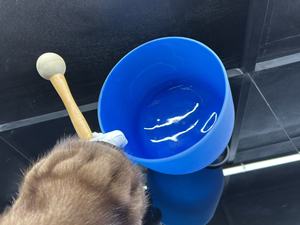 ชามคริสตัลควอตซ์สีบำบัดจักระ HM แบบฝ้า ขายส่ง 1. งานฝีมือคริสตัลควอตซ์อื่นๆ ของภาคตะวันออกเฉียงใต้ - Product Image 6