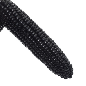 Juguete Sexual Anal de 8 Pulgadas de Largo Total, 6 Pulgadas Insertables, 1.7 Pulgadas de Diámetro, con Forma de Mazorca de Maíz Realista para Estimulación Anal y Vaginal - Product Image 6