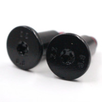 Vis à épaule métriques M3 M4 M5 M6 M8 M10 en acier inoxydable, tête plate Torx, oxyde noir, revêtement zinc, personnalisables en gros
