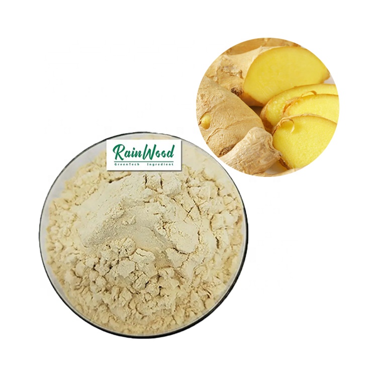 Natural Water Soluble Instant Dry Ginger Extract Powder Gingerol 20%