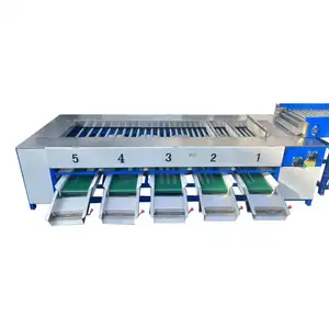 Large Type Roller Grading Machine Onion Sorting Machine Potato Grader apply to round and elliptical fruit and vegetable