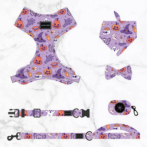 Collares y Correas para Perros de Poliéster con Diseño de Dibujos Animados, Venta al Por Mayor 2025, Impresión de Logotipo Personalizado, Juego Personalizado - Product Image 4