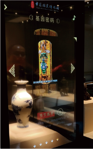 Vetrina da museo in vetro trasparente di alta qualità con scaffali multifunzione personalizzabili per scopi espositivi - Product Image 5