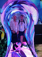Pantalla LED flexible para interiores X,X, hermoso efecto curvo, video wall LED para renovación de interiores de hoteles