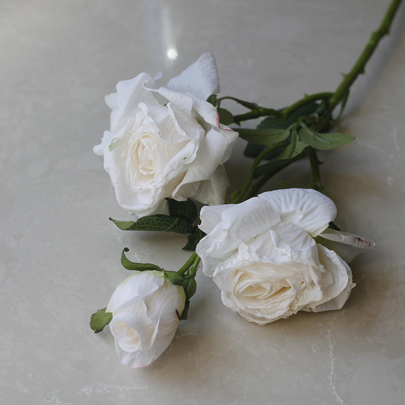 Roses à 3 têtes à bords brûlés [Blanc]