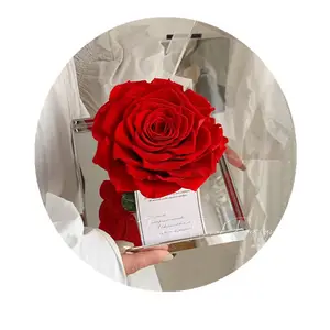 腌制玫瑰情人节持久玫瑰亚克力盒子里的单朵大玫瑰母亲节腌制花