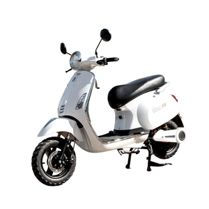 Paige TSL Bike for Adults Other Parts Ebike Conversion Kit With <b>Battery</b> 1000W Scooter Motorcycle - Product Image 3