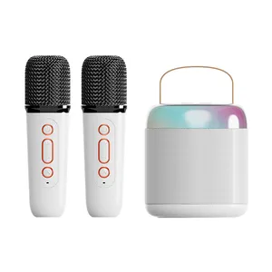 2024 nuova famiglia portatile Wireless DJ Karaoke altoparlante Audio integrato microfono bambini K canzone Home Blue tooth Speaker