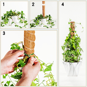 Mecool — perche de <span class=keywords><strong>Support</strong></span> de plante grimpante, accessoire de jardin intérieur <span class=keywords><strong>pour</strong></span> plantes de jardin, 17 pouces - Product Image 4