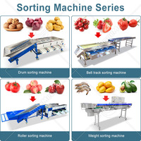 Machine de tri et de classement des pommes de terre, des olives, des citrons, des fruits, des tomates, de qualité industrielle ORME