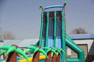 WINSUN <span class=keywords><strong>Toboggan</strong></span> <span class=keywords><strong>aquatique</strong></span> commercial personnalisé pour la maison, enfants et adultes, <span class=keywords><strong>toboggan</strong></span> <span class=keywords><strong>super</strong></span> long, forêt tropicale - Product Image 5