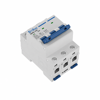 Disjoncteur solaire DC Solivo MXB1-63Z 1000V 6A-63A 6kA avec protection Li PA66 Cuivre pour boîtier de combinaison PV et stockage d'énergie