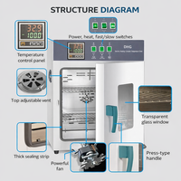 Four de séchage à air forcé, four à circulation d'air chaud, four de séchage à température constante, en acier inoxydable, 220V/380V, jusqu'à 300°C ° C