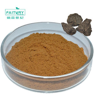 Shilajit-polvo shilajit puro, extracto natural de ácido húmico, para <span class=keywords><strong>consumo</strong></span> <span class=keywords><strong>humano</strong></span>, el mejor precio - Product Image 3