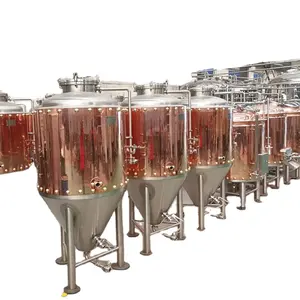 ferment copper tank 500l