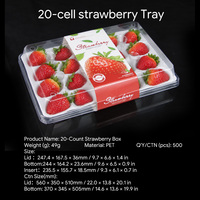 Transparante PET aardbeienbak met afneembaar deksel, 11, 15, 20 stuks, fruitverpakking voor bessen